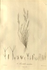 n43_w1150