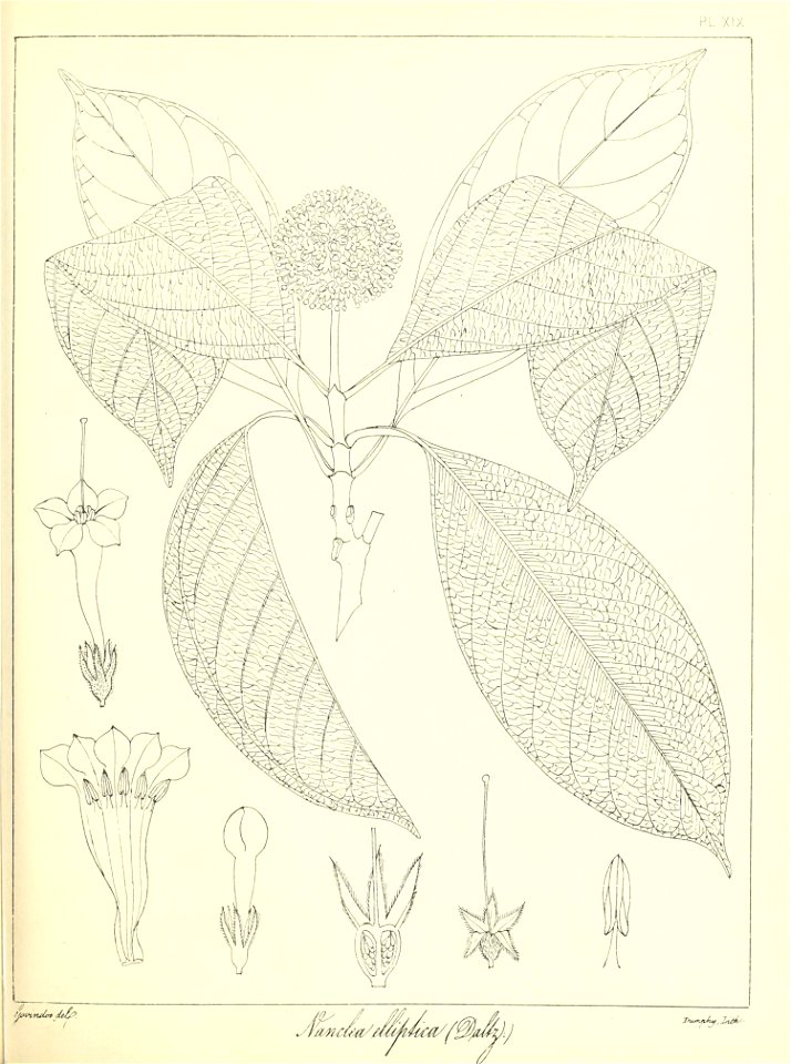 n54_w1150