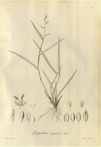 n206_w1150