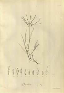 n205_w1150