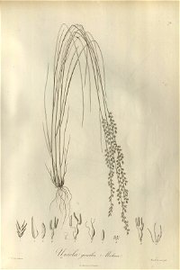 n71_w1150