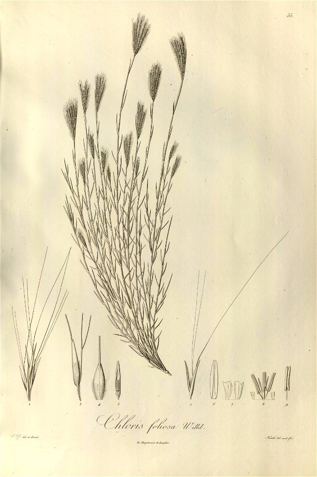 n54_w1150