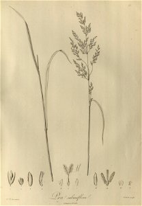 n82_w1150