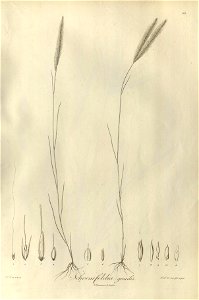 n52_w1150