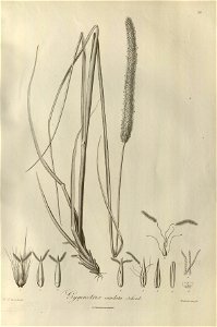 n37_w1150