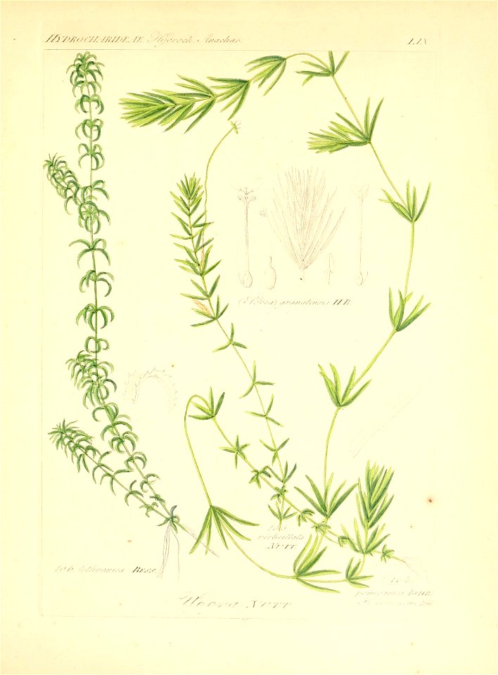 n168_w1150