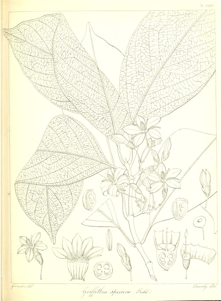 n94_w1150