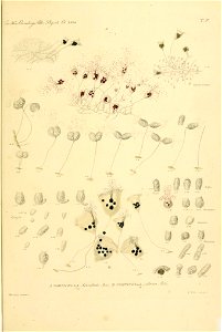 n16_w1150