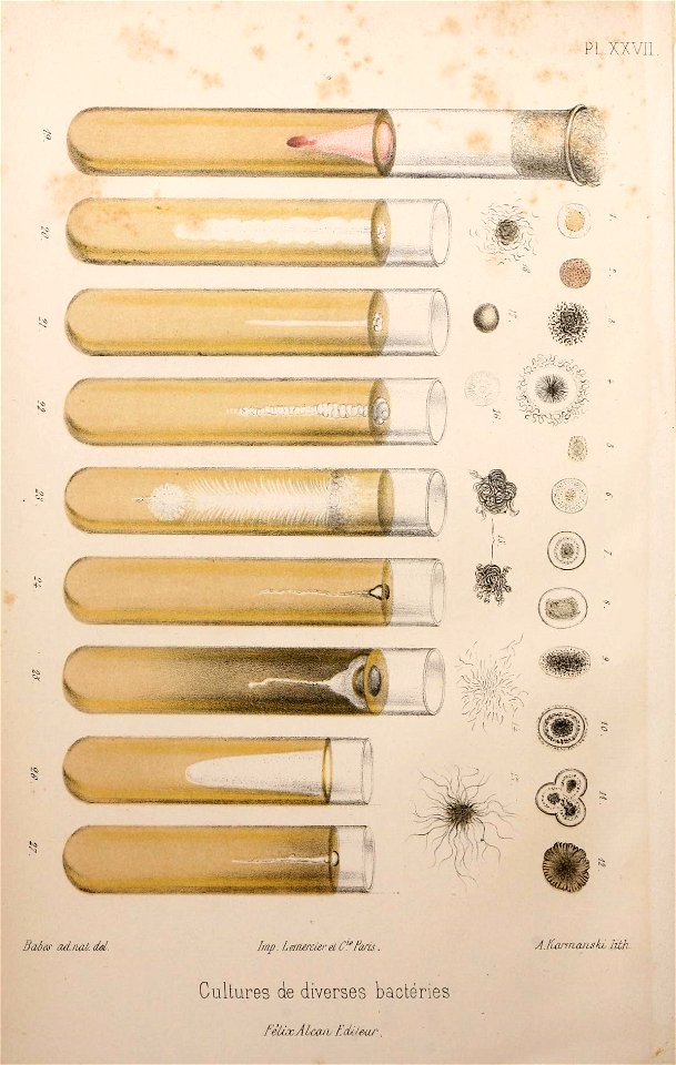 n89_w1150