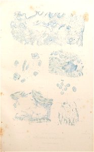 n44_w1150