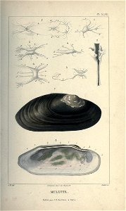 n102_w1150