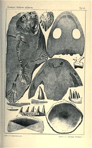 n206_w1150