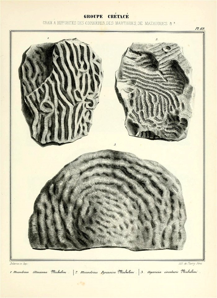 n146_w1150