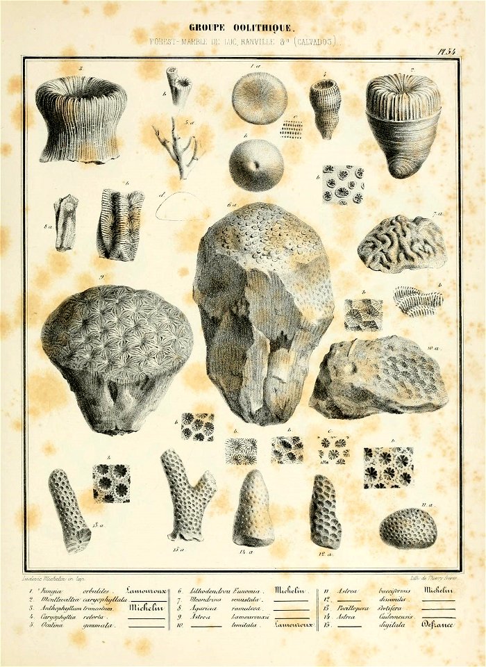 n116_w1150