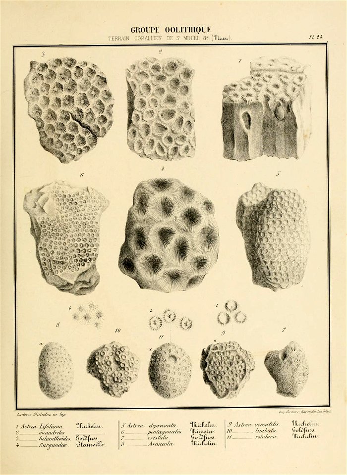 n56_w1150