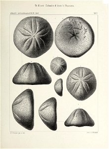 n14_w1150