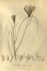 n57_w1150