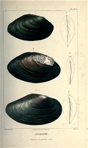 n98_w1150
