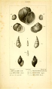 n112_w1150