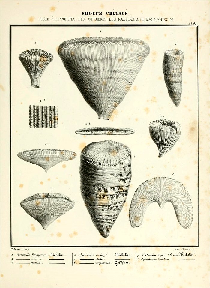 n138_w1150