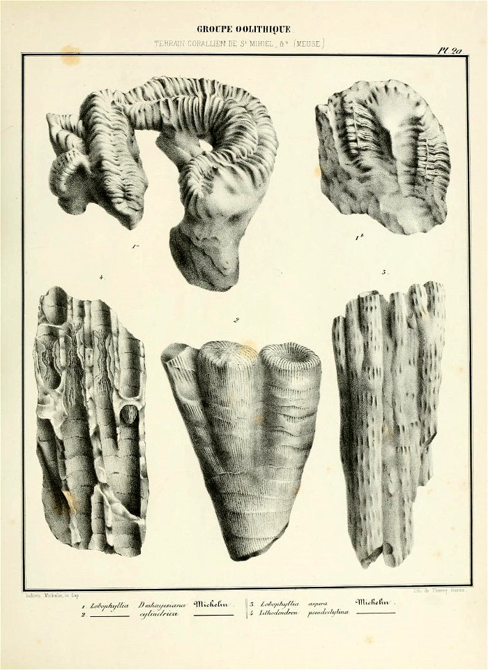 n48_w1150