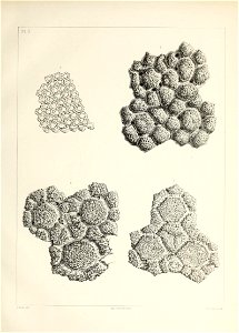 n12_w1150