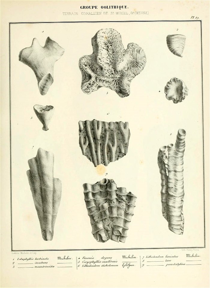 n46_w1150