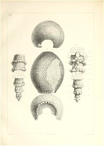 n10_w1150