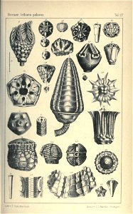n118_w1150