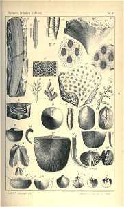 n58_w1150