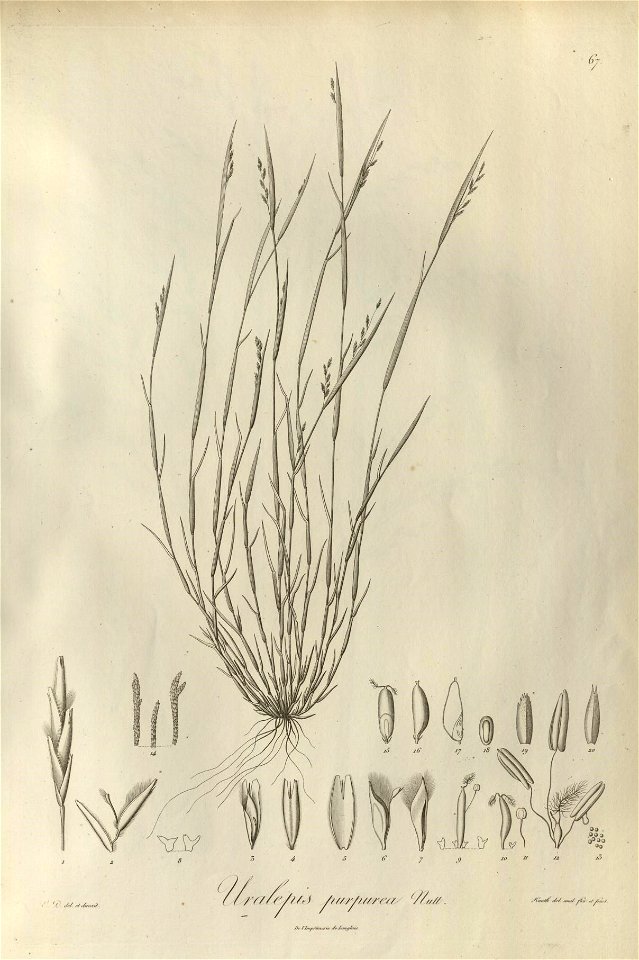 n66_w1150