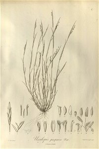 n66_w1150