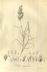 n51_w1150