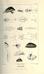 n116_w1150