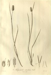 n6_w1150
