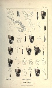 n56_w1150