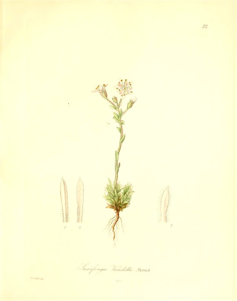 n262_w1150