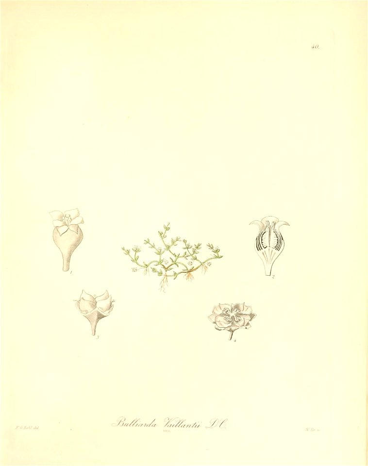 n172_w1150