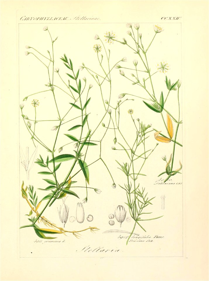 n242_w1150