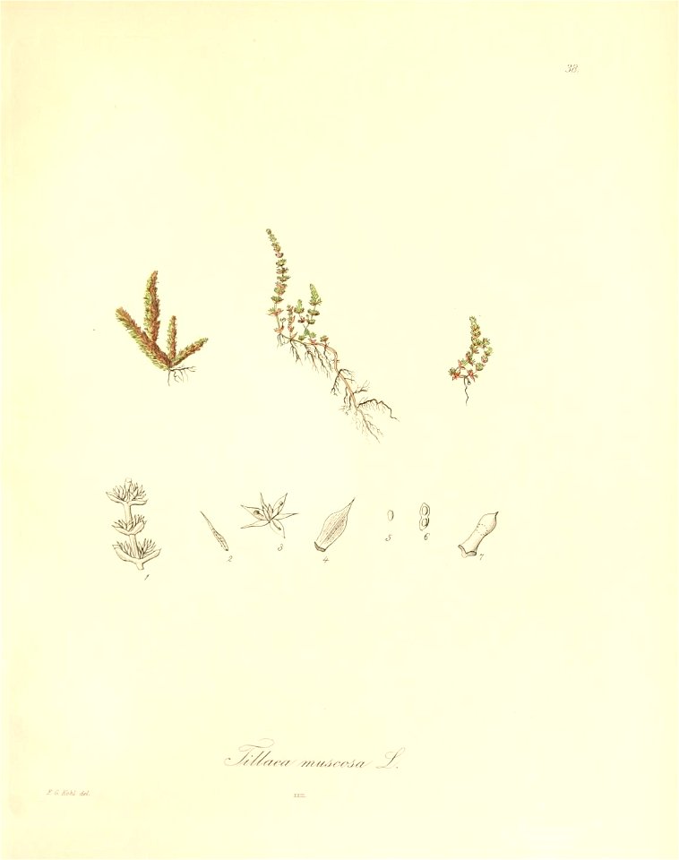 n168_w1150