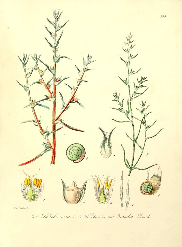 n538_w1150