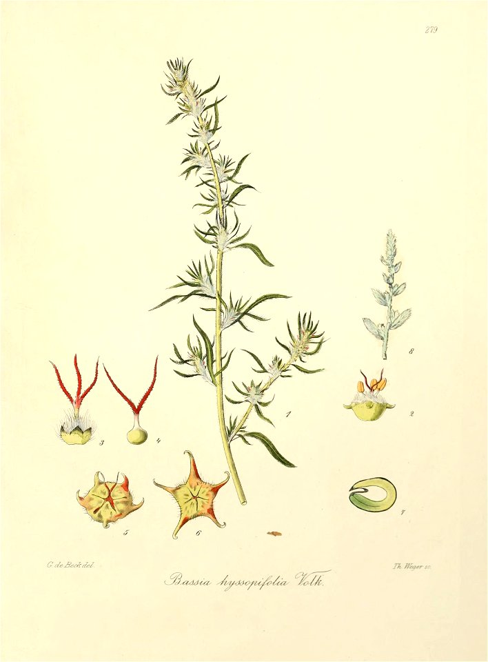 n508_w1150