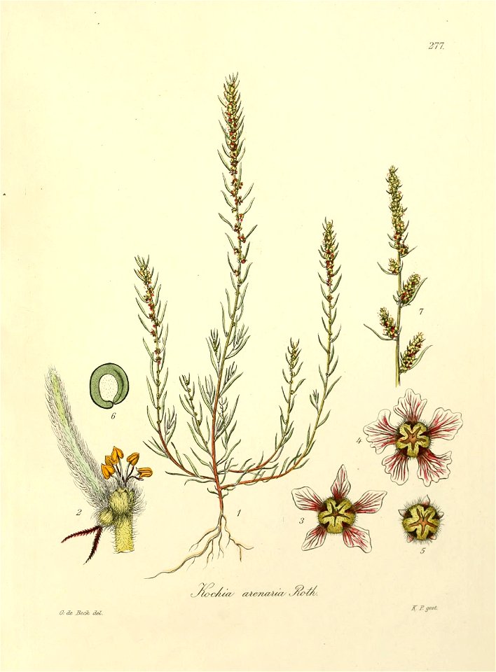 n504_w1150