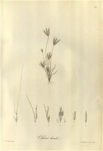 n179_w1150