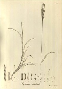 n105_w1150