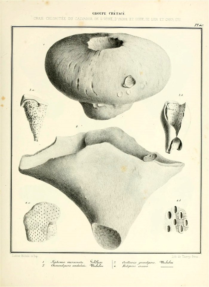n88_w1150