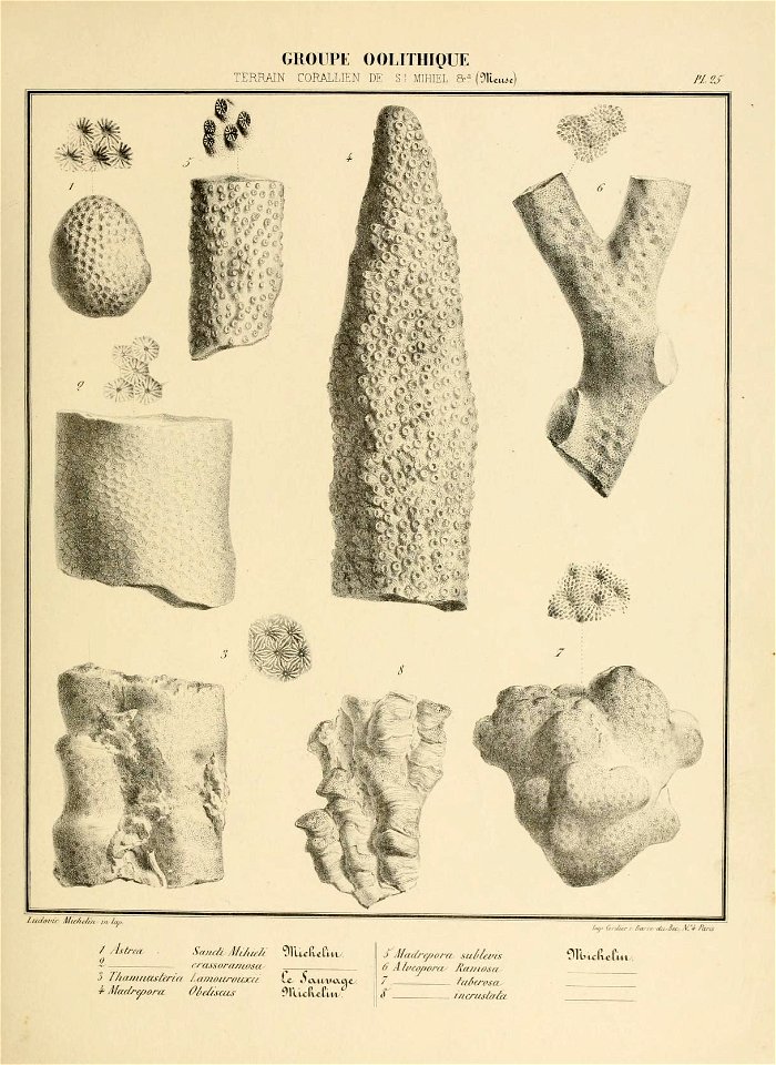 n58_w1150