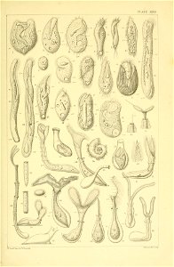 n126_w1150