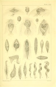 n122_w1150