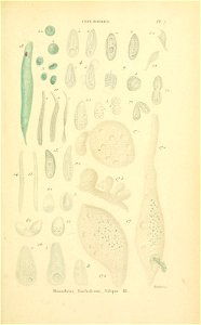 n38_w1150